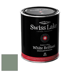 Swiss Lake White Brilliant глубокоматовая краска цвет SL-2639 Molly may