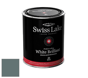 Swiss Lake White Brilliant глубокоматовая краска цвет NCS S 6010-B50G