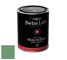 Swiss Lake White Brilliant глубокоматовая краска цвет NCS S 3040-G10Y 
