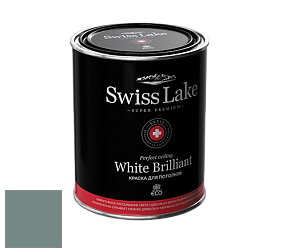 Swiss Lake White Brilliant глубокоматовая краска цвет NCS S 5010-B70G