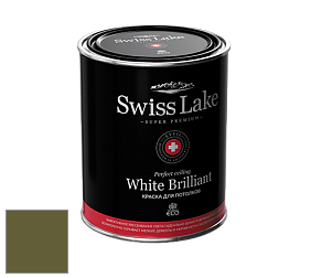 Swiss Lake White Brilliant глубокоматовая краска цвет NCS S 5540-G50Y