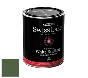 Swiss Lake White Brilliant глубокоматовая краска цвет NCS S 6030-G30Y
