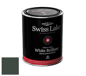 Swiss Lake White Brilliant глубокоматовая краска цвет NCS S 8010-G10Y