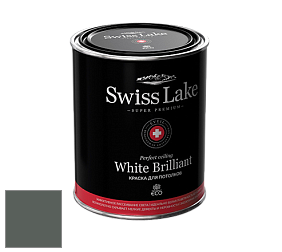 Swiss Lake White Brilliant глубокоматовая краска цвет NCS S 7005-G