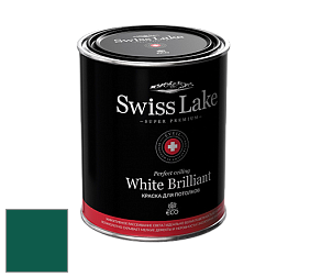 Swiss Lake White Brilliant глубокоматовая краска цвет NCS S 5540-B80G