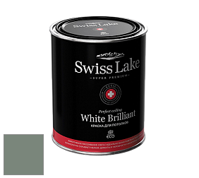 Swiss Lake White Brilliant глубокоматовая краска цвет NCS S 5010-G10Y