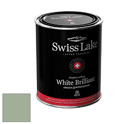 Swiss Lake White Brilliant глубокоматовая краска цвет SL-2637 Silt green