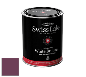 Swiss Lake White Brilliant глубокоматовая краска цвет NCS S 5040-R30B