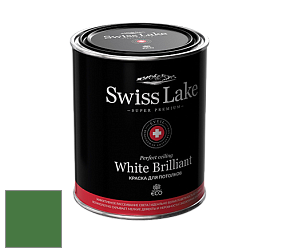 Swiss Lake White Brilliant глубокоматовая краска цвет NCS S 3560-G20Y 