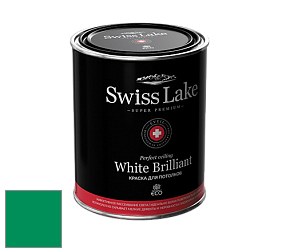 Swiss Lake White Brilliant глубокоматовая краска цвет NCS S 2565-G 