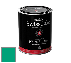 Swiss Lake White Brilliant глубокоматовая краска цвет NCS S 2060-B90G 