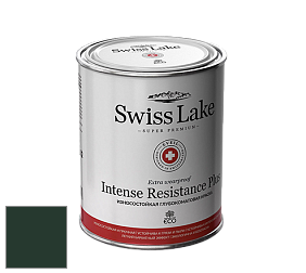 Swiss Lake Intense Resistance Plus глубокоматовая водно-дисперсионная краска цвет RAL 6009 