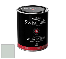 Swiss Lake White Brilliant глубокоматовая краска цвет NC26-0485 Ash pearl