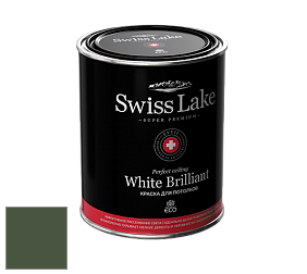 Swiss Lake White Brilliant глубокоматовая краска цвет NCS S 7020-G30Y