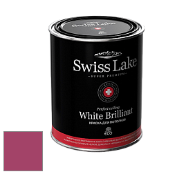 Swiss Lake White Brilliant глубокоматовая краска цвет NCS S 2065-R20B 