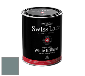 Swiss Lake White Brilliant глубокоматовая краска цвет NCS S 5010-B50G