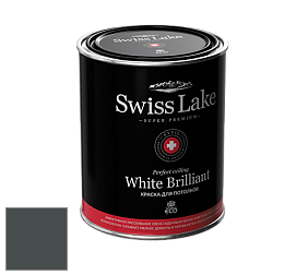 Swiss Lake White Brilliant глубокоматовая краска цвет NCS S 8005-B50G