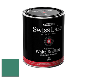 Swiss Lake White Brilliant глубокоматовая краска цвет NCS S 4040-B90G 
