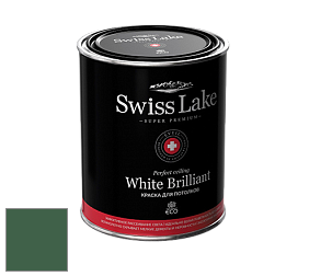 Swiss Lake White Brilliant глубокоматовая краска цвет NCS S 6030-G10Y
