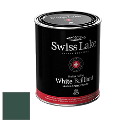 Swiss Lake White Brilliant глубокоматовая краска цвет NCS S 7020-B90G