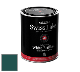 Swiss Lake White Brilliant глубокоматовая краска цвет NCS S 6530-B50G