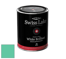 Swiss Lake White Brilliant глубокоматовая краска цвет NCS S 1050-B90G 