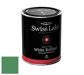 Swiss Lake White Brilliant глубокоматовая краска цвет NCS S 3050-G10Y 