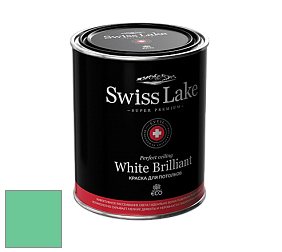 Swiss Lake White Brilliant глубокоматовая краска цвет NCS S 1050-G 