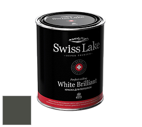 Swiss Lake White Brilliant глубокоматовая краска цвет RAL 7022