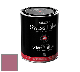 Swiss Lake White Brilliant глубокоматовая краска цвет NCS S 3040-R20B 