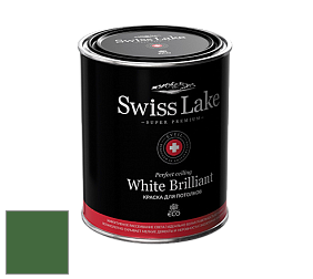 Swiss Lake White Brilliant глубокоматовая краска цвет NCS S 4550-G20Y