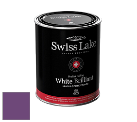 Swiss Lake White Brilliant глубокоматовая краска цвет NCS S 4050-R50B 