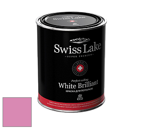 Swiss Lake White Brilliant глубокоматовая краска цвет NCS S 1050-R30B 