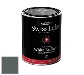 Swiss Lake White Brilliant глубокоматовая краска цвет NCS S 7005-B80G
