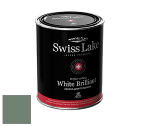 Swiss Lake White Brilliant глубокоматовая краска цвет NC36-0802 Light emerald