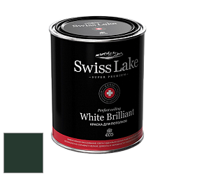 Swiss Lake White Brilliant глубокоматовая краска цвет RAL 6009