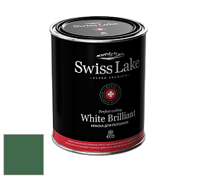 Swiss Lake White Brilliant глубокоматовая краска цвет NCS S 5040-G10Y 
