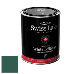 Swiss Lake White Brilliant глубокоматовая краска цвет NCS S 6030-B90G