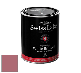Swiss Lake White Brilliant глубокоматовая краска цвет NCS S 3040-R10B 