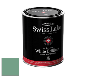 Swiss Lake White Brilliant глубокоматовая краска цвет NCS S 3030-G 