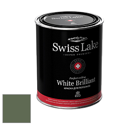 Swiss Lake White Brilliant глубокоматовая краска цвет NCS S 6020-G30Y