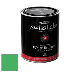 Swiss Lake White Brilliant глубокоматовая краска цвет NCS S 1070-G10Y 