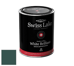 Swiss Lake White Brilliant глубокоматовая краска цвет NCS S 7020-B70G