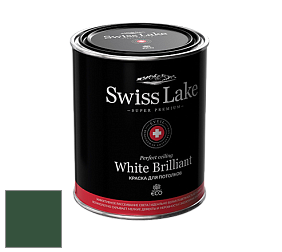 Swiss Lake White Brilliant глубокоматовая краска цвет NCS S 6530-G10Y