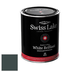 Swiss Lake White Brilliant глубокоматовая краска цвет NCS S 8010-B50G