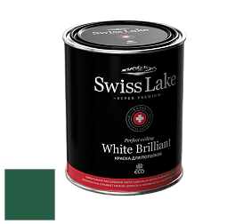 Swiss Lake White Brilliant глубокоматовая краска цвет NCS S 5540-G