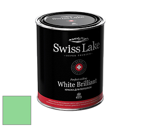 Swiss Lake White Brilliant глубокоматовая краска цвет NCS S 0550-G10Y 
