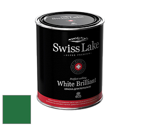 Swiss Lake White Brilliant глубокоматовая краска цвет NCS S 3560-G10Y 