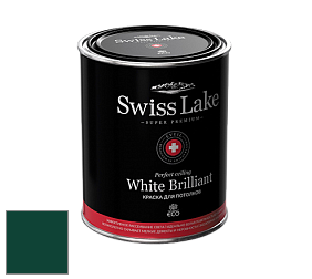 Swiss Lake White Brilliant глубокоматовая краска цвет RAL 6005