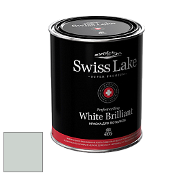 Swiss Lake White Brilliant глубокоматовая краска цвет NC26-0483 Light blue pearl